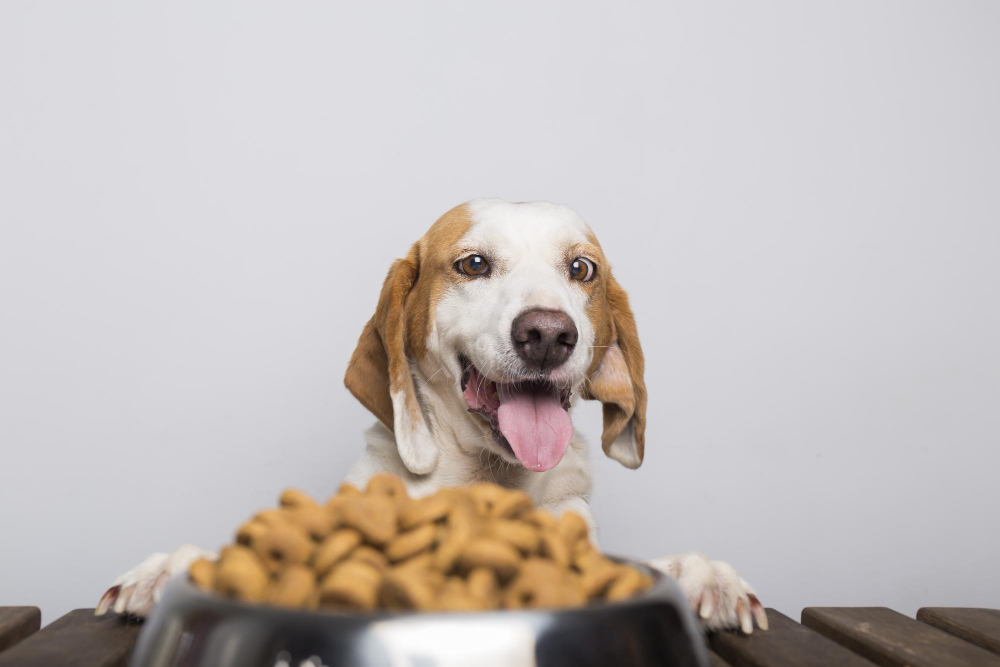 Memilih Makanan Anjing yang Sehat Secara Alami untuk Anjing Kesayangan Anda