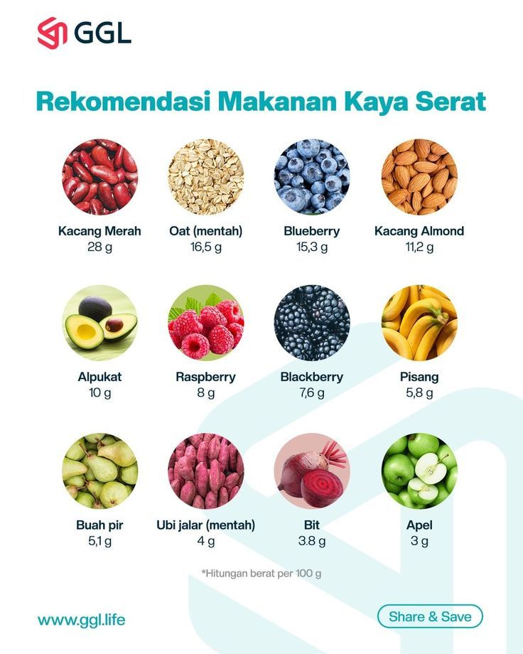 Makanan Kucing Kaya Serat Alami: Kesehatan Pencernaan yang Optimal