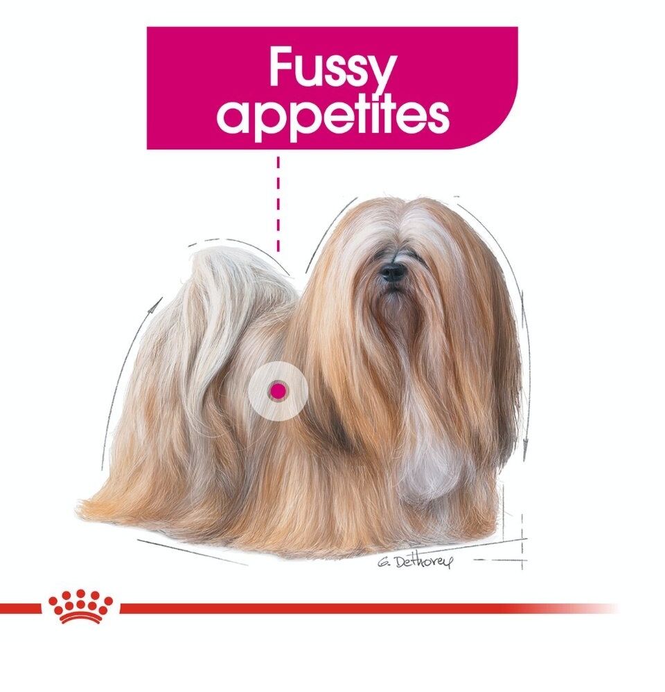 Memahami Manfaat Makanan Anjing Royal Canin untuk Kesehatan Anjing Anda