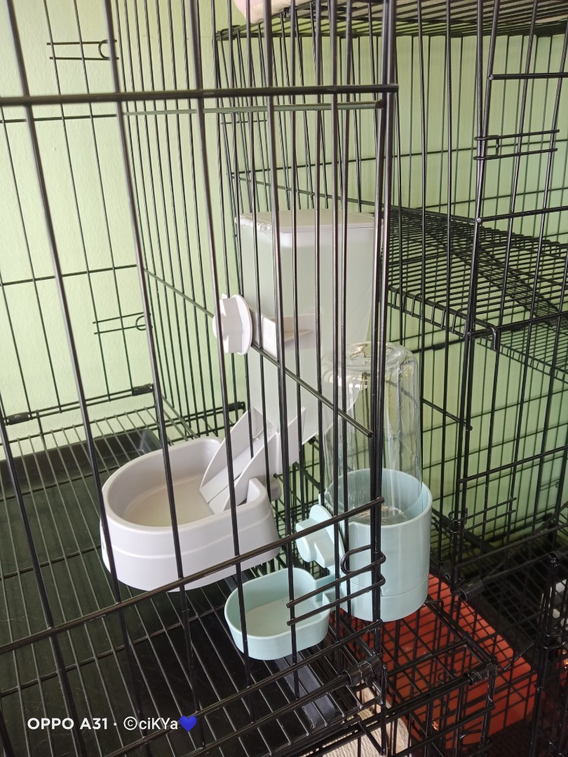 Makanan Kucing Pet Kecil: Pilihan Alami untuk Kesehatan Optimal