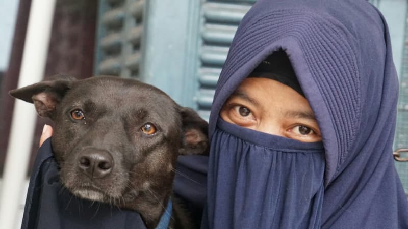 Memelihara Anjing di Islam: Perspektif Alami dan Bertanggung Jawab