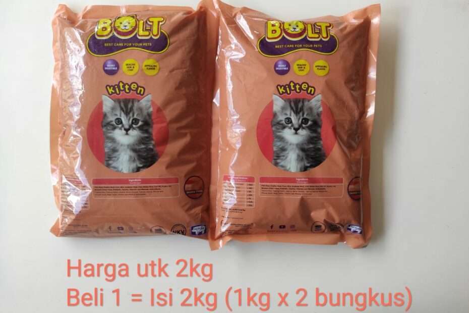 Makanan Kitten Kucing Kecil Alami: Fondasi Kesehatan Optimal