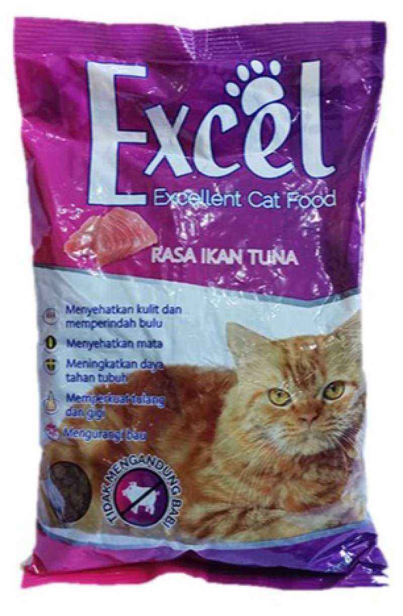 Makanan Kucing Anggora Persia: Panduan Lengkap untuk Kesehatan Optimal