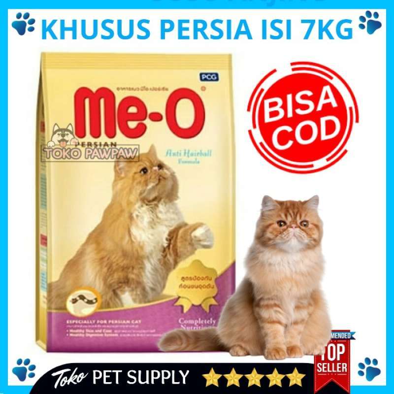 Meo Persian: Nutrisi Optimal untuk Kucing Persia Kesayangan Anda