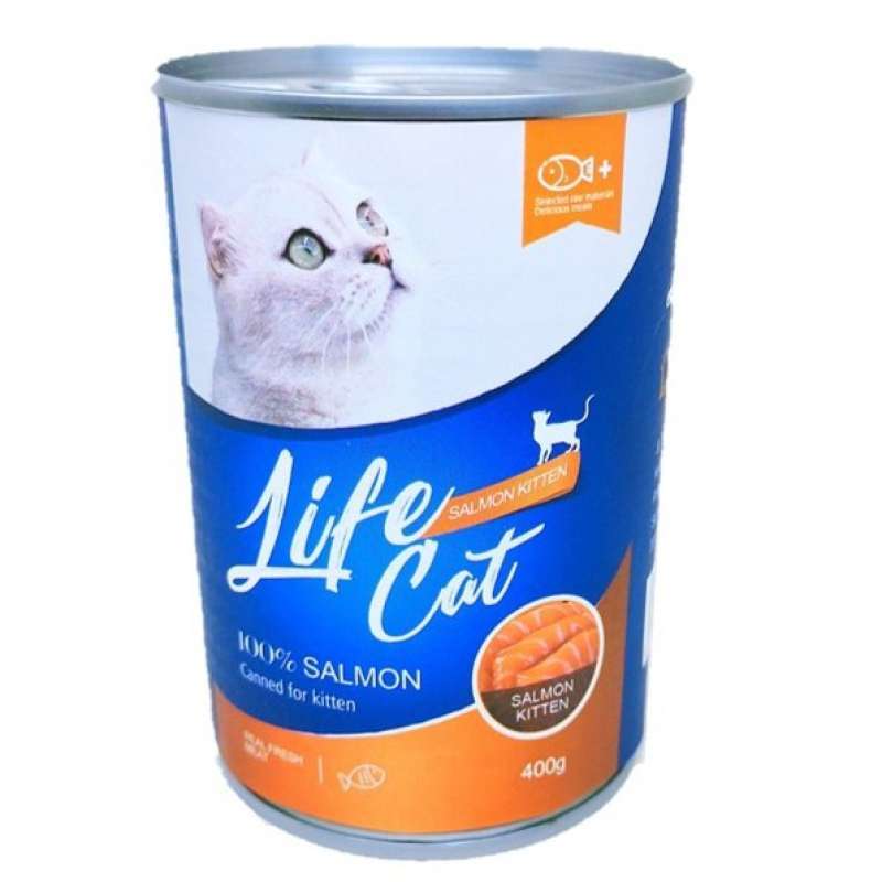Makanan Kucing Kitten Cat Alami: Panduan Lengkap untuk Kesehatan Optimal