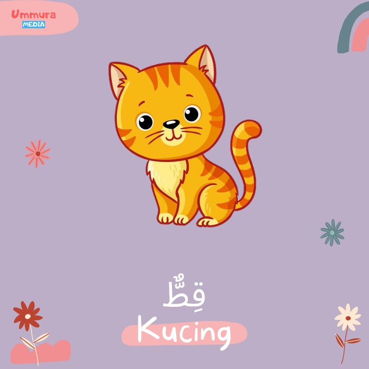Makanan Kucing dalam Bahasa Arab: Panduan Lengkap