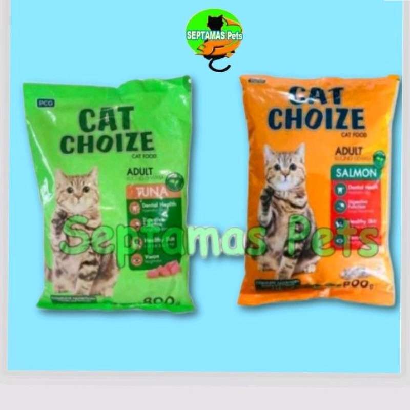 Mengatasi Mencret pada Kucing dengan Pilihan Makanan yang Tepat