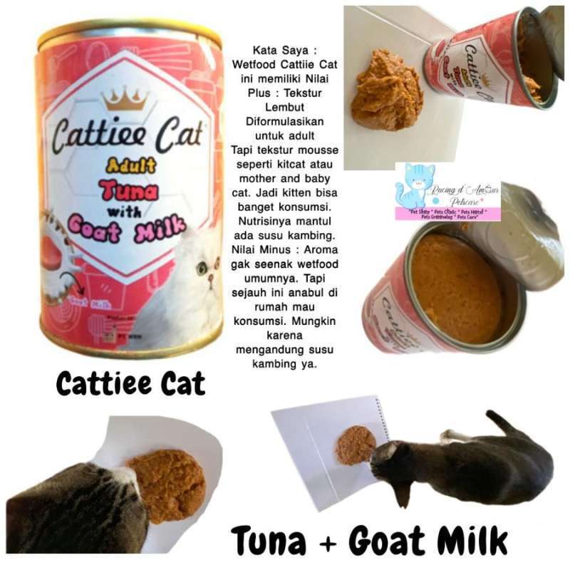 Makanan Kucing Lembut Alami: Pilihan Sehat dan Lezat untuk Si Meong