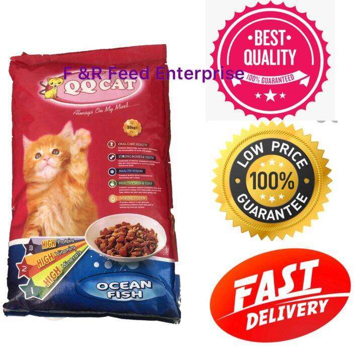 Memilih Makanan Kucing Terbaik: Panduan Lengkap