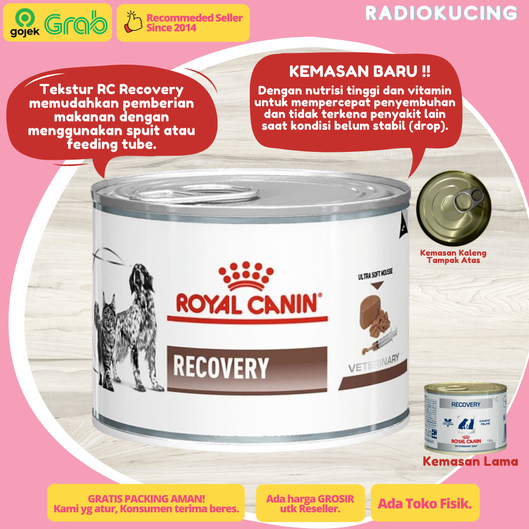Makanan Kucing Royal Canin Recovery: Dukungan Nutrisi untuk Pemulihan