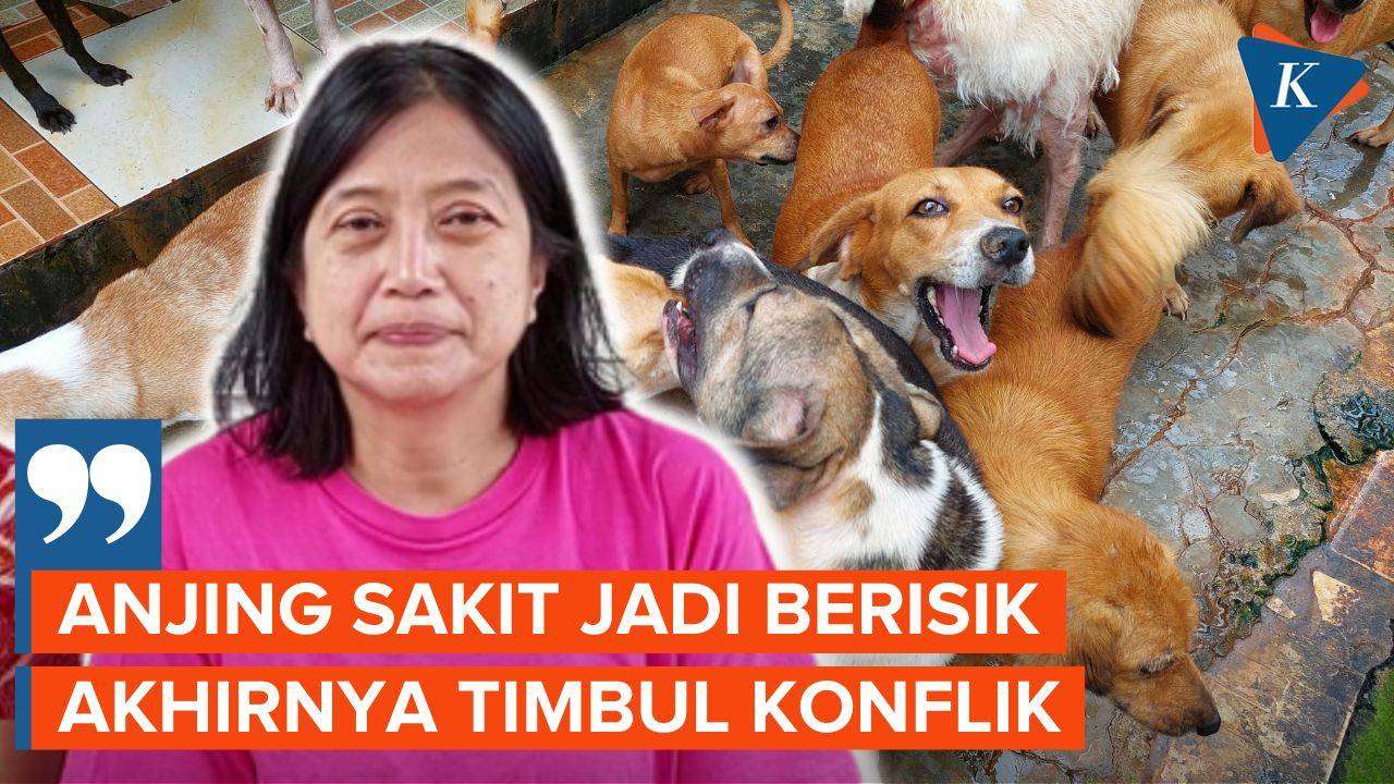Merawat Anjing Terlantar di Animal Shelter: Pendekatan Alami untuk Kesejahteraan