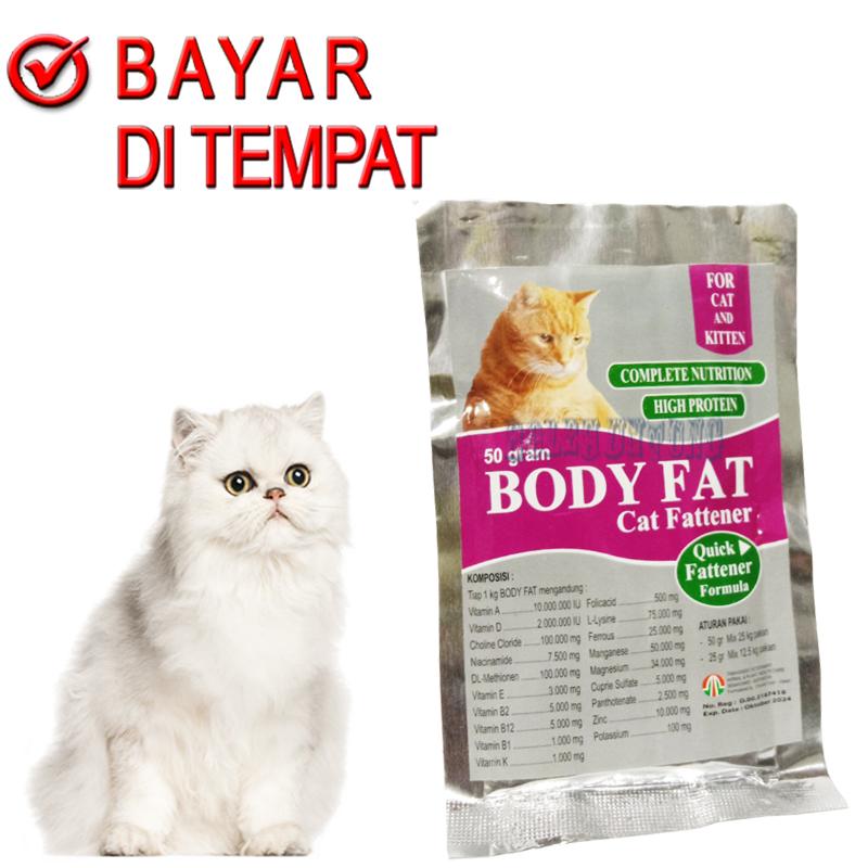 Rahasia Kucing Gemuk dan Sehat Alami: Panduan Lengkap
