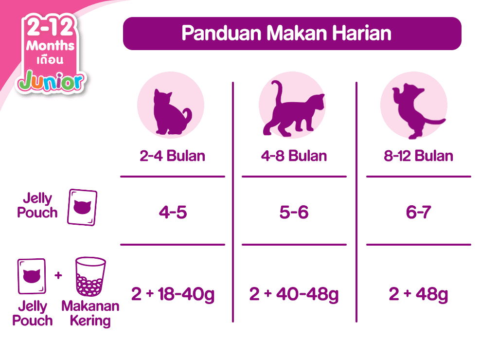 Pemberian Makanan Anak Kucing Umur 3 Minggu Secara Alami