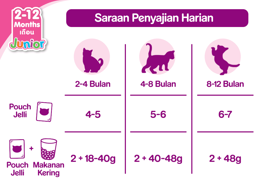 Memahami Harga dan Manfaat Makanan Anak Kucing Whiskas
