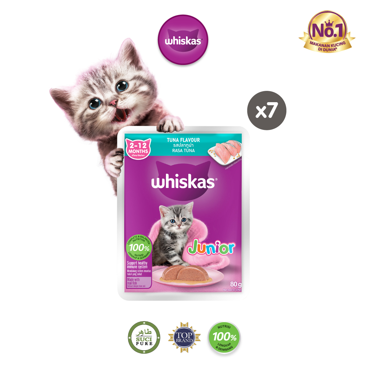 Makanan Basah Alami untuk Anak Kucing Diare: Solusi Lembut dan Efektif