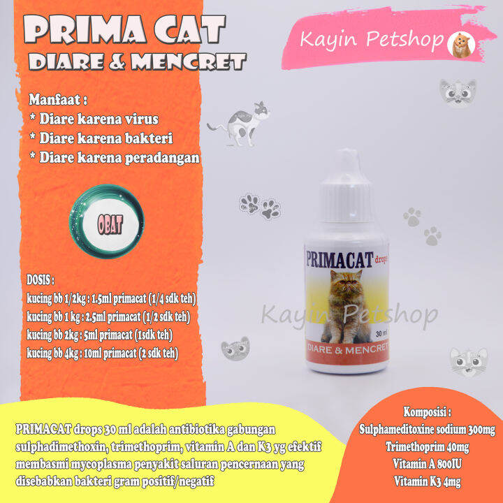 Mengatasi Diare pada Kitten Secara Alami: Panduan Lengkap