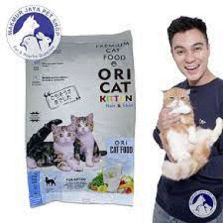 Panduan Lengkap Makanan Kitten Bayi Kucing Alami