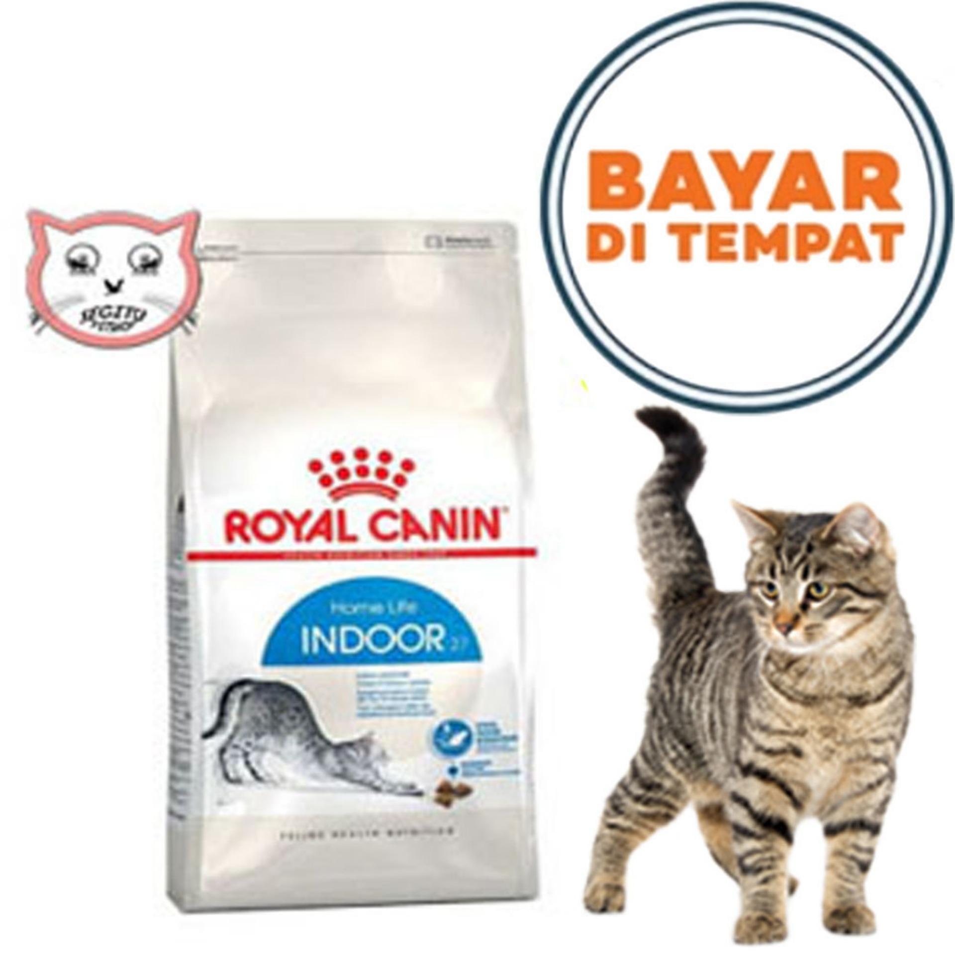 Makanan Kucing: Mengurangi Bau Pup Secara Alami