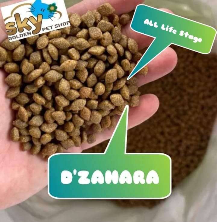 Makanan Kucing Zahara: Pilihan Terbaik untuk Kesehatan Optimal