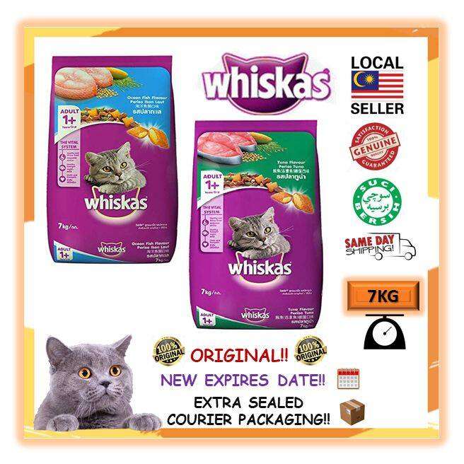 Memilih Makanan Kucing: Keunggulan Kibble Kecil
