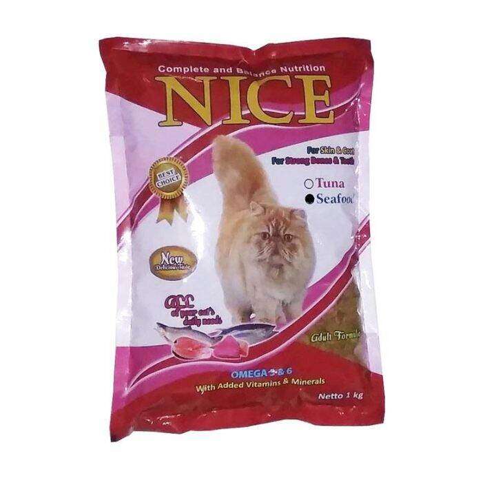 Makanan Khusus Anak Kucing: Fondasi Kesehatan Sejak Dini