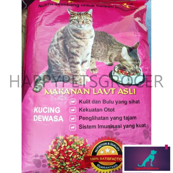 Makanan Kucing Premium Murah: Kualitas Terjangkau untuk Kucing Kesayangan