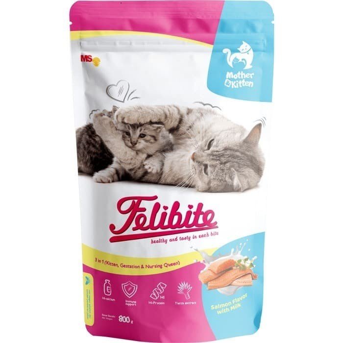Panduan Lengkap: Memilih Makanan Anak Kucing Felibite Terbaik