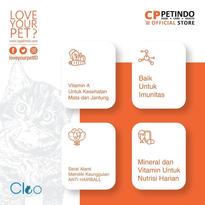 Memahami Kualitas dan Manfaat Makanan Kucing Cleo