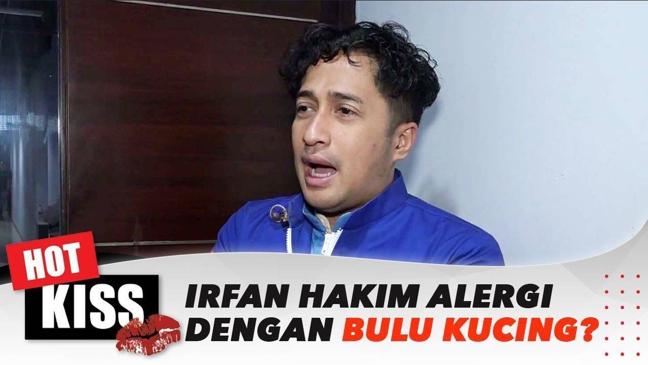 Memilih Makanan Kucing Terbaik: Peran Visual dan Inspirasi dari Irfan Hakim