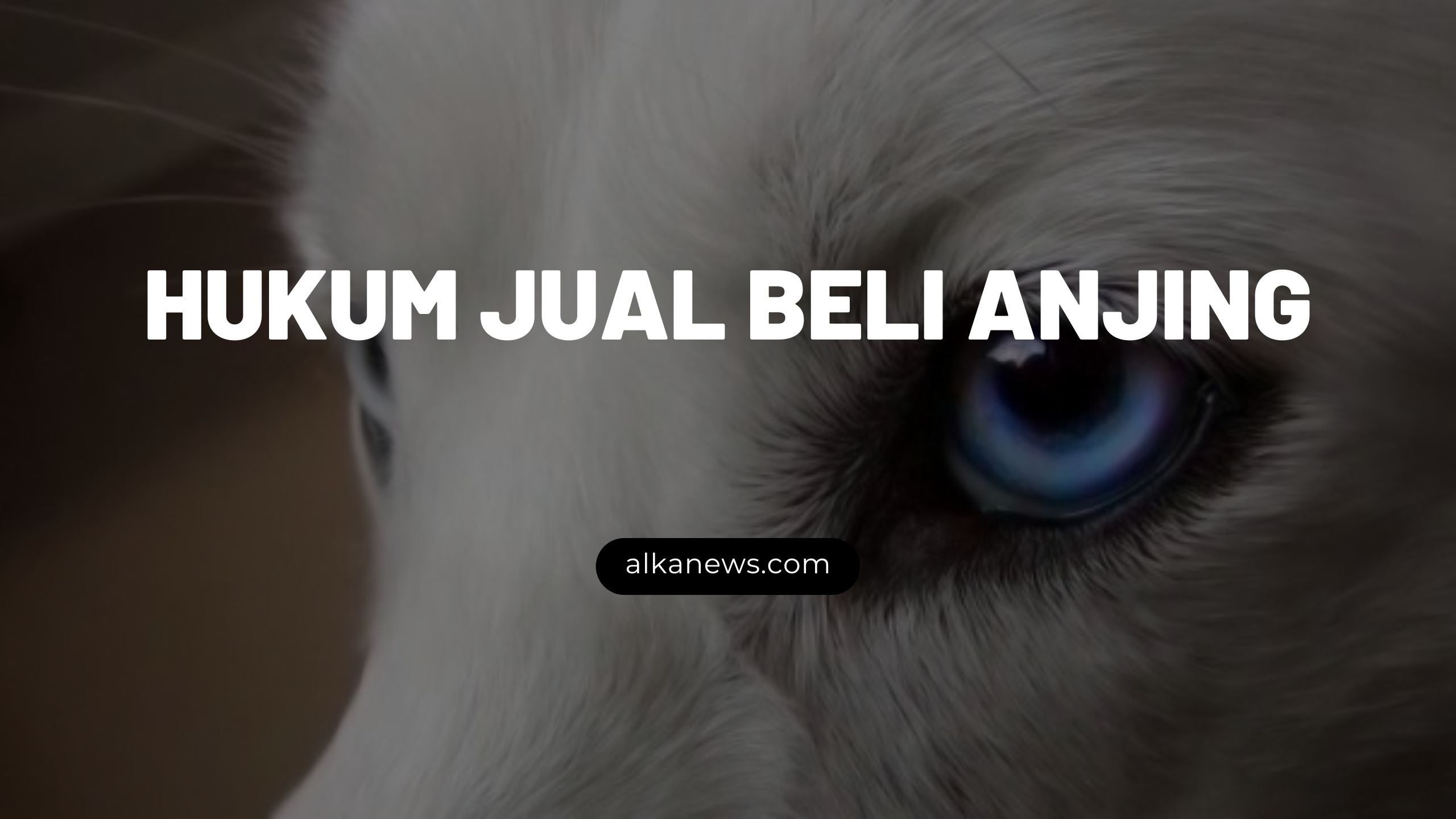 Memelihara Anjing dalam Perspektif Hukum Islam: Panduan Alami dan Merata