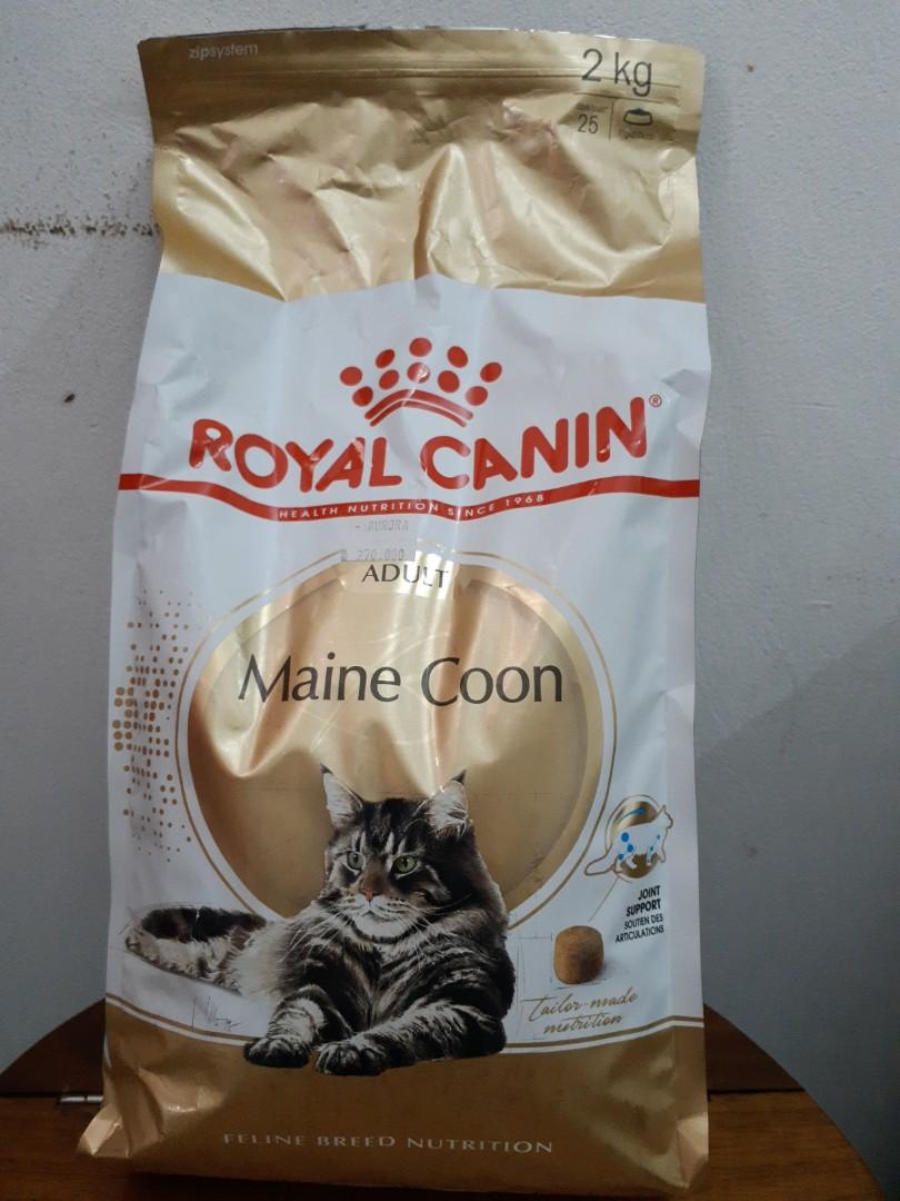 Panduan Makanan Terbaik untuk Kucing Maine Coon: Kesehatan Alami dan Optimal