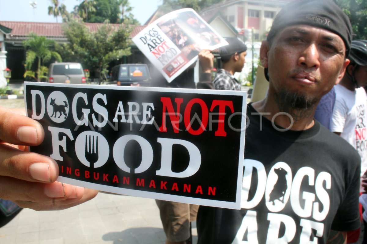 Makan Anjing Kecil Secara Alami: Panduan Lengkap