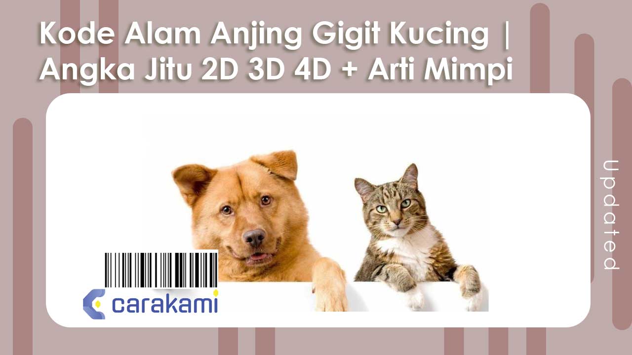 Pertolongan Pertama dan Perawatan Alami untuk Kucing yang Digigit Anjing