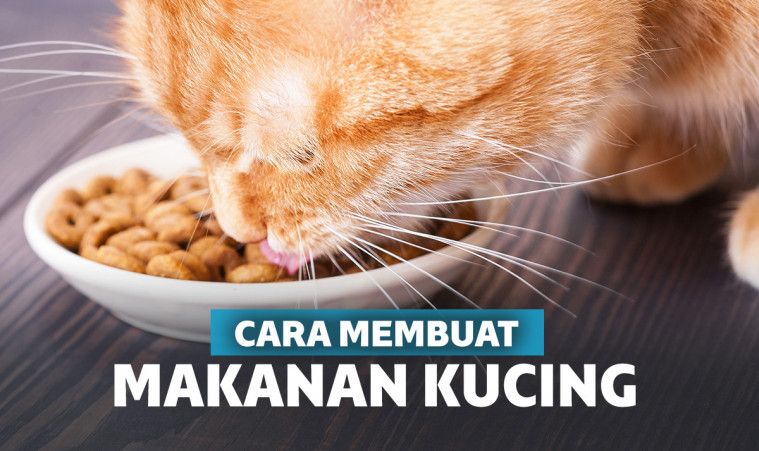 Makanan Kucing Murah: Solusi Alami untuk Berat Badan Ideal