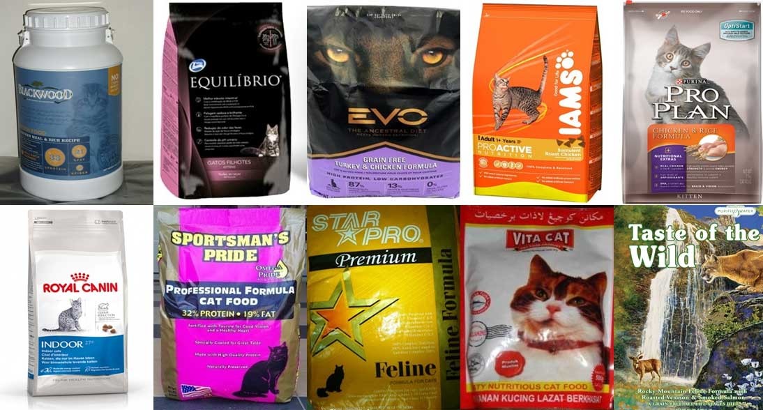 Memilih Makanan Kucing Kualitas Terbaik Secara Alami untuk Kesehatan Optimal