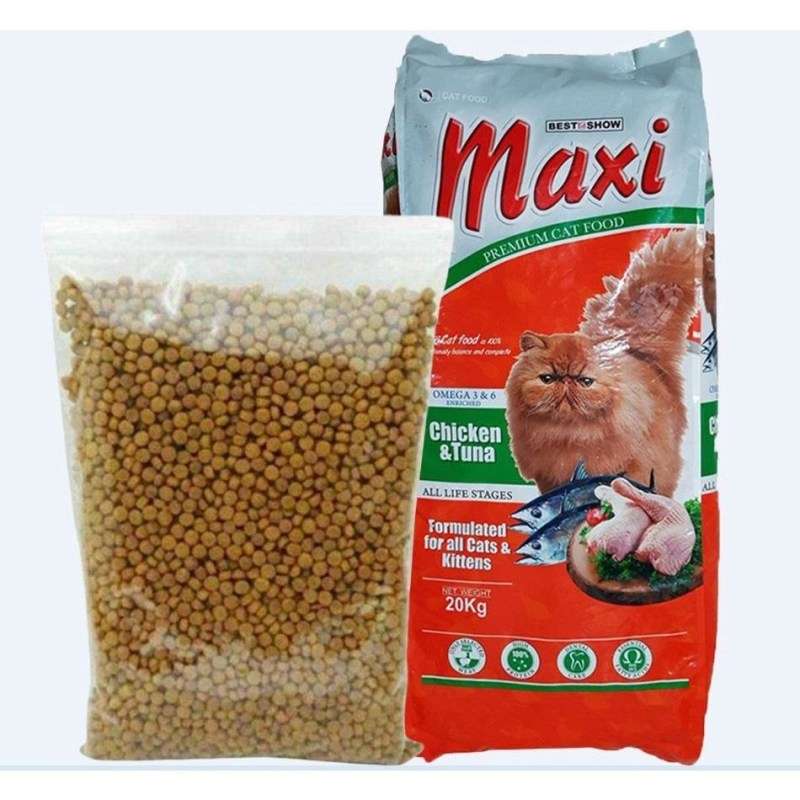 Memilih Makanan Anak Kucing yang Bagus dan Murah: Panduan Lengkap