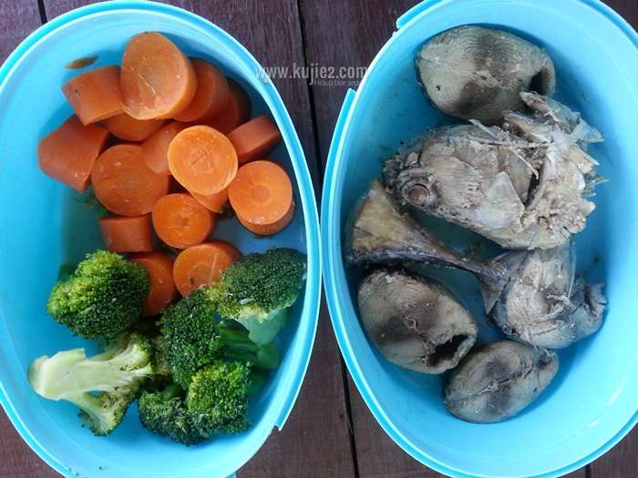 Membuat Makanan Kucing Sendiri: Solusi Alami dan Hemat
