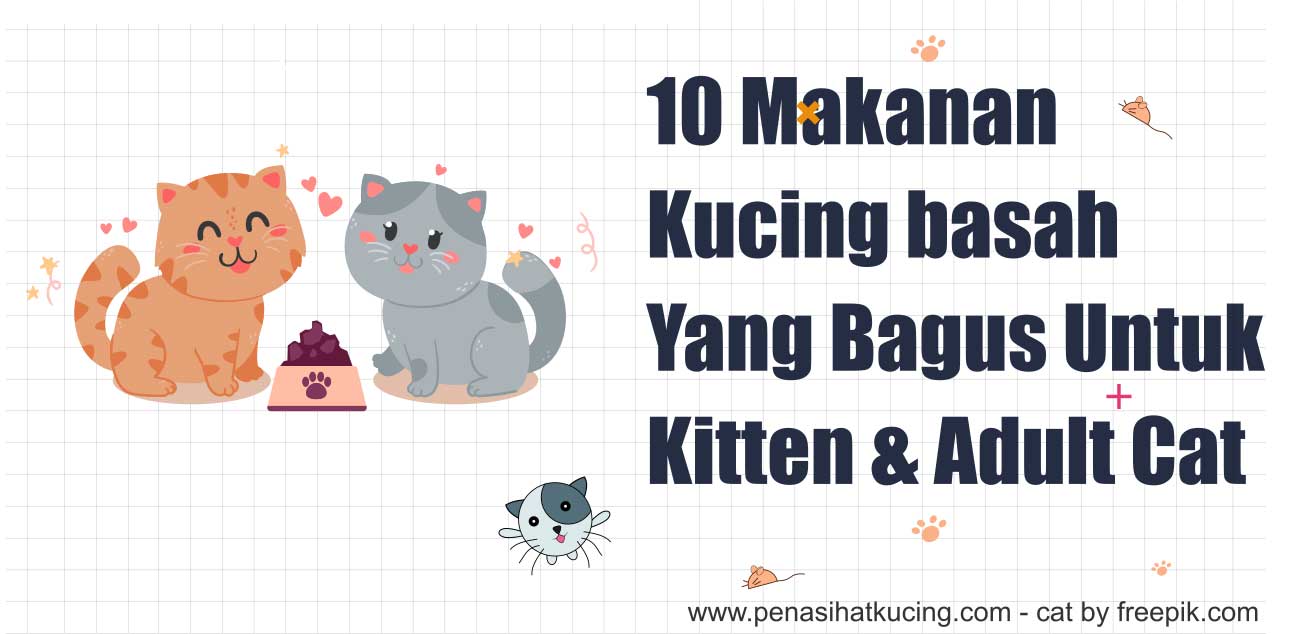 Makanan Basah Kucing Kitten: Pilihan Terbaik untuk Pertumbuhan Optimal