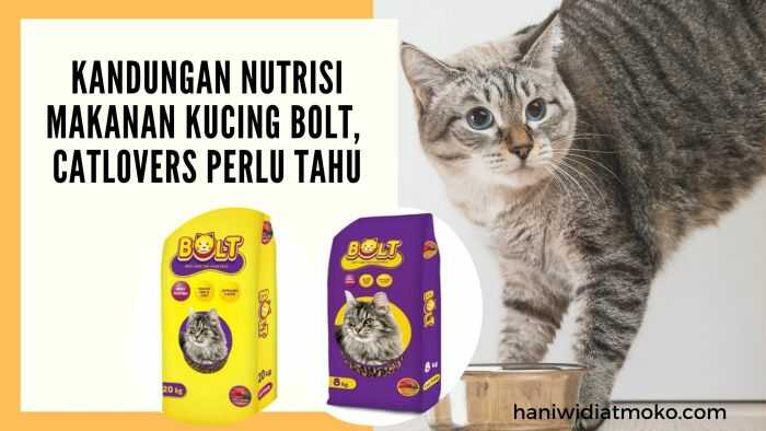 Memahami Kandungan Makanan Kucing Life Cat: Nutrisi Alami untuk Kesehatan Optimal