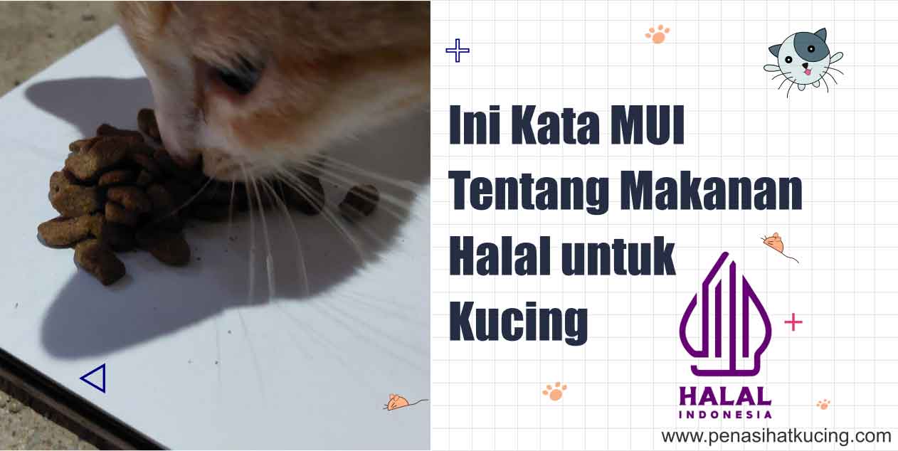 Memilih Makanan Kucing Basah Halal Alami untuk Kesehatan Optimal