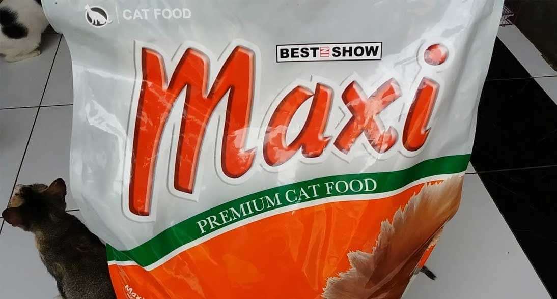 Memilih Makanan Kucing Maxi yang Tepat untuk Kesehatan Optimal