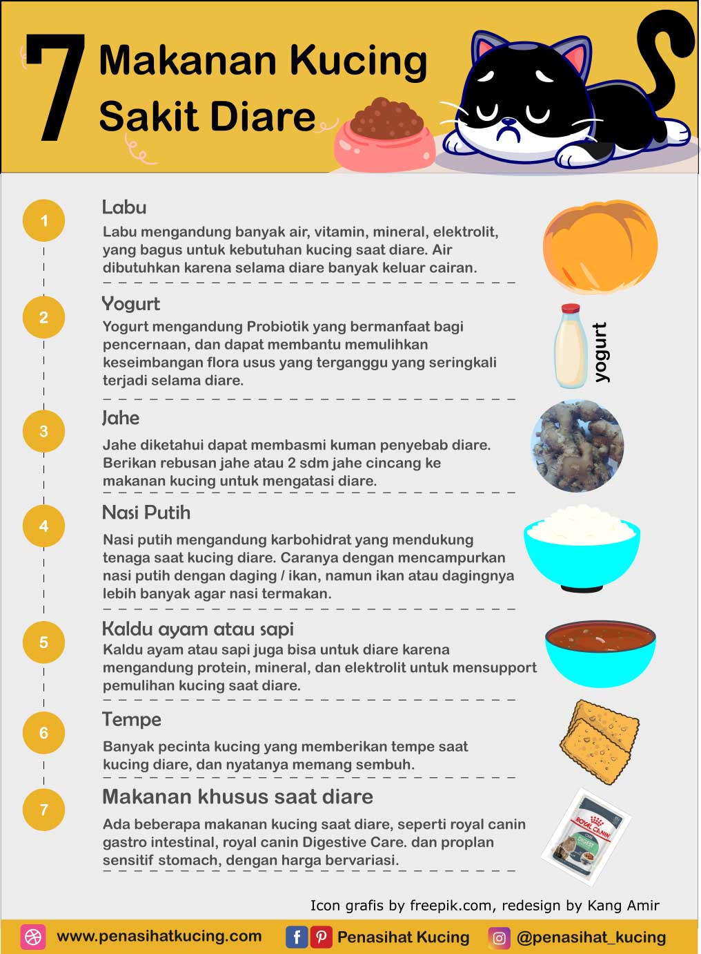 Mengatasi Diare pada Kucing dengan Makanan Alami