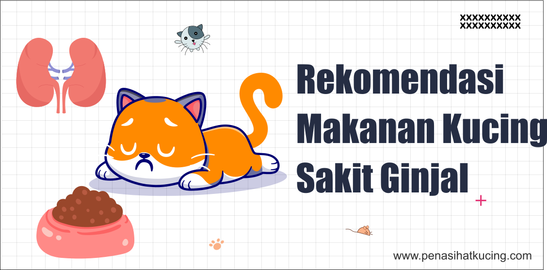 Makanan Alami untuk Anak Kucing Sakit: Pemulihan yang Lembut dan Efektif