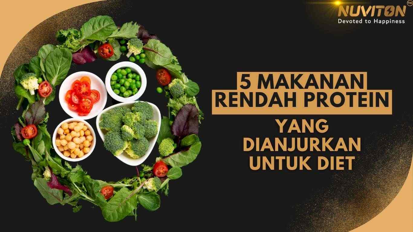 Makanan Anjing Rendah Protein: Panduan Lengkap