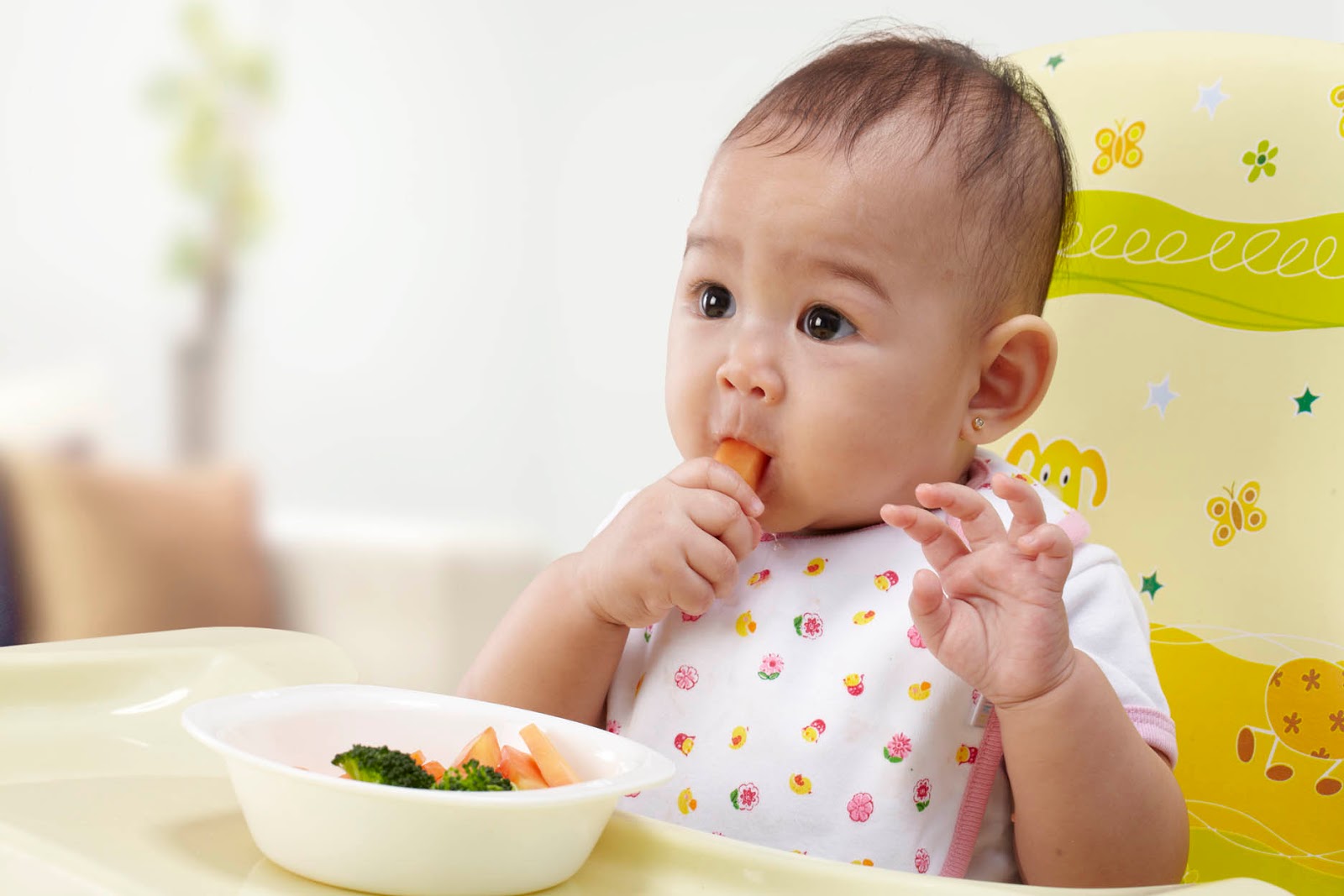 Panduan Lengkap Makanan untuk Bayi Kucing 2 Bulan Alami