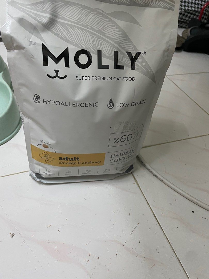 Panduan Lengkap Memilih Makanan Kucing Molly Terbaik