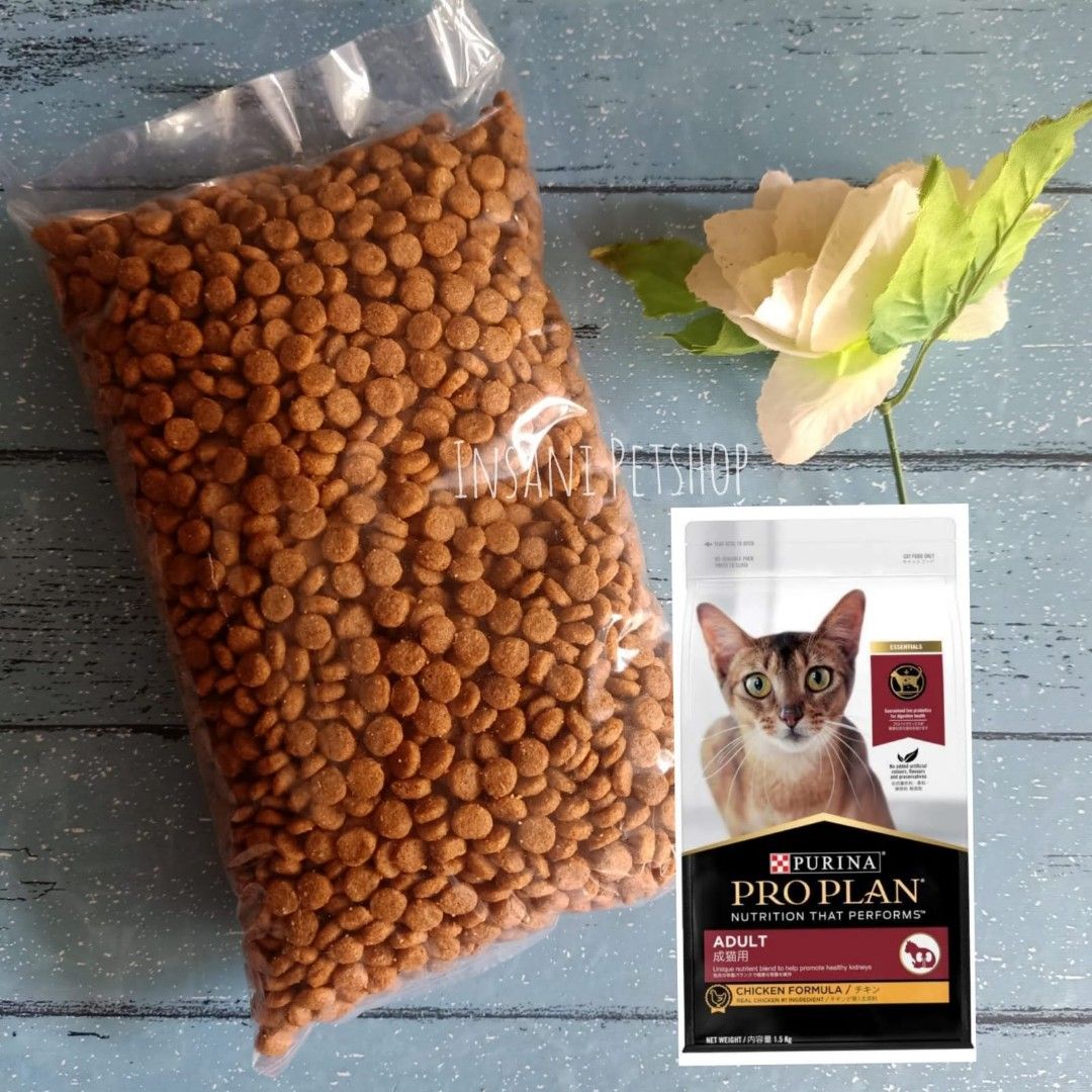 Pro Plan Adult: Nutrisi Optimal untuk Kucing Dewasa Anda