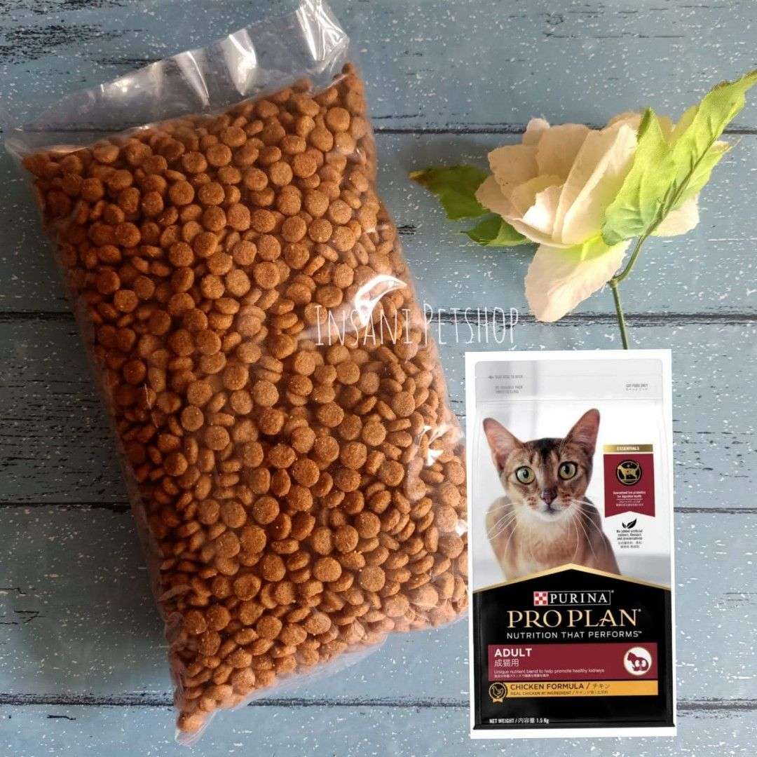 Nutrisi Lengkap untuk Kucing Dewasa: Keunggulan Makanan Kucing Proplan