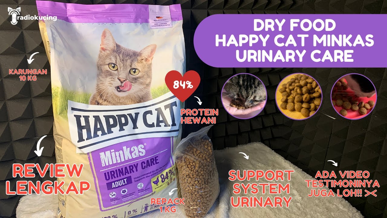 Happy Cat: Review dan Panduan Lengkap Makanan Kucing