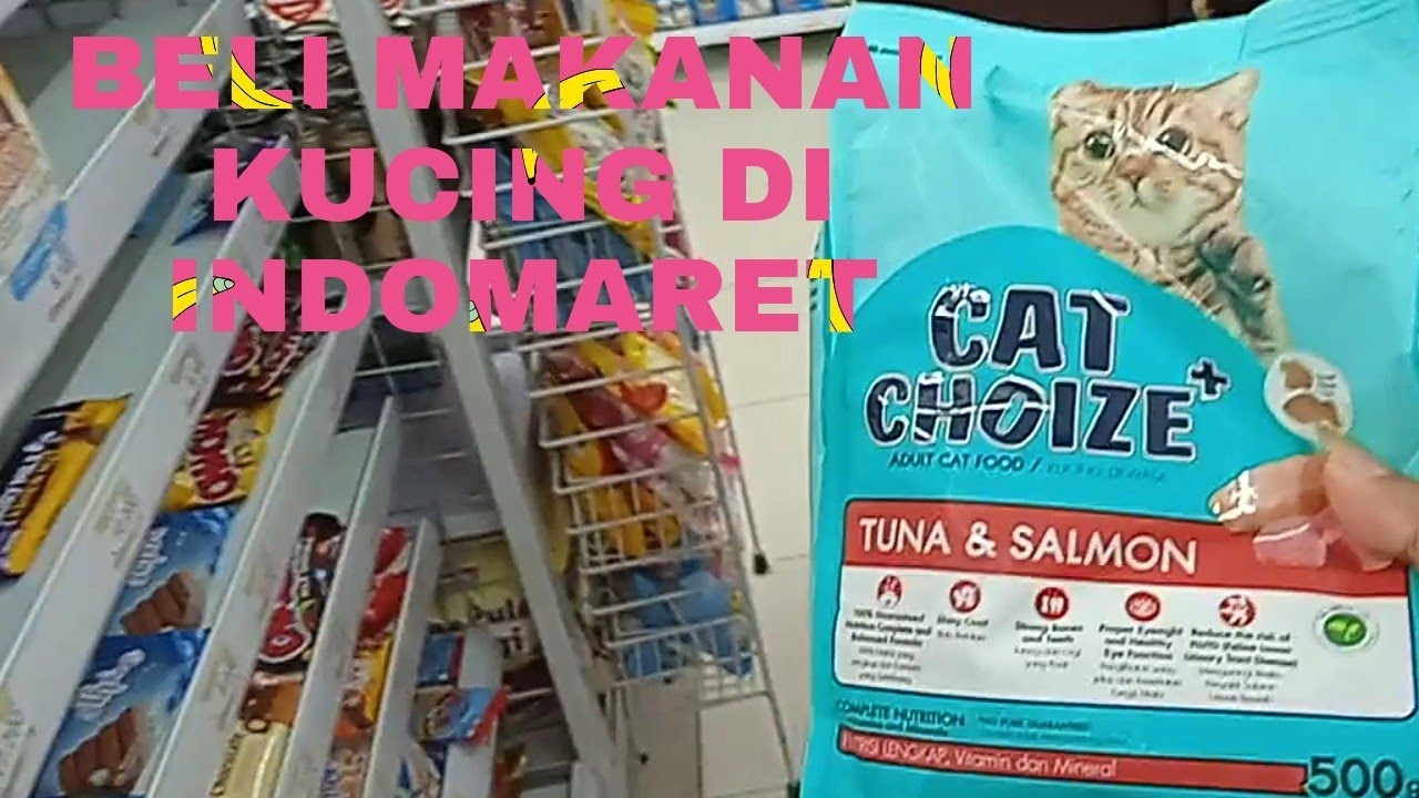 Panduan Memilih Makanan Kucing Kecil di Indomaret